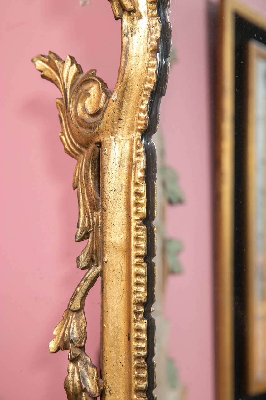 Mid-20th Century Gilt Gold Shell and Vine Floral Carved Mirror