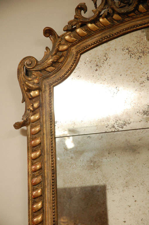 19th Century Carved French Mirror With Parcel Gilding