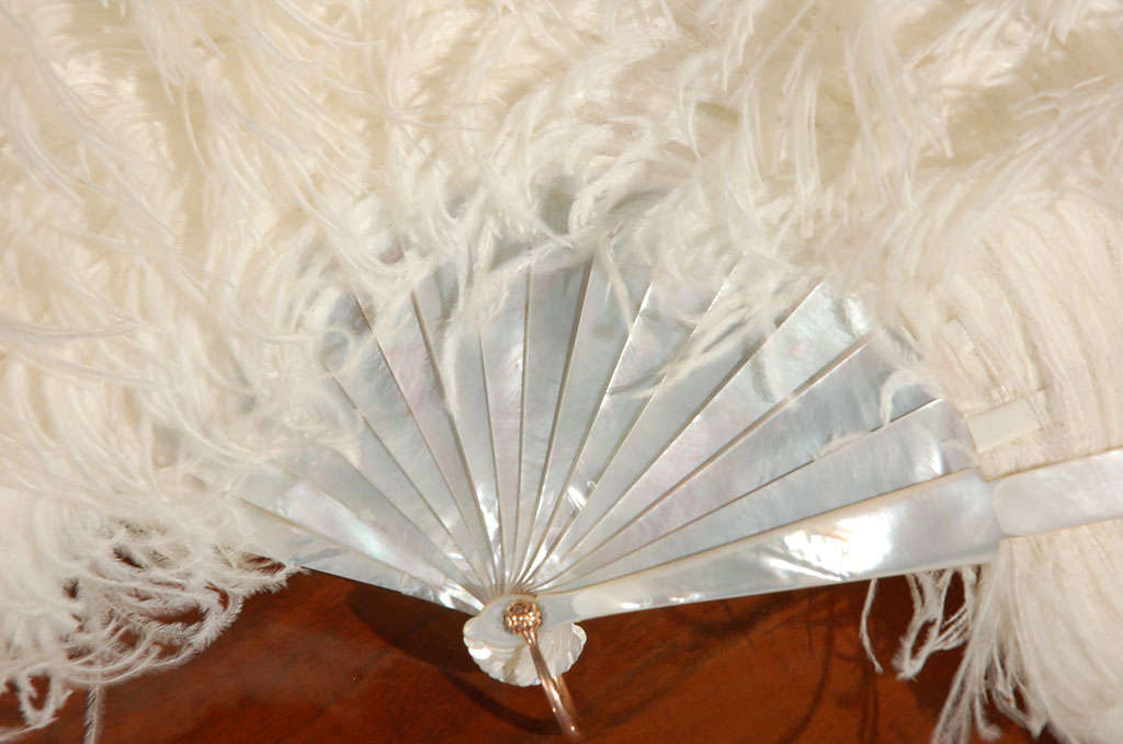 antique ostrich feather fan