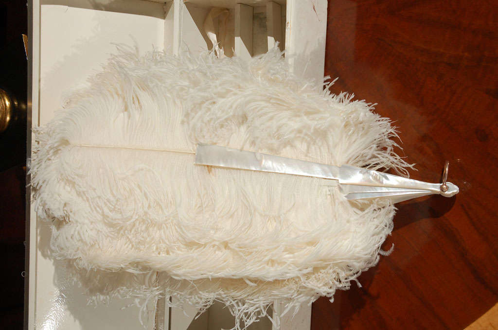 ostrich feather fans