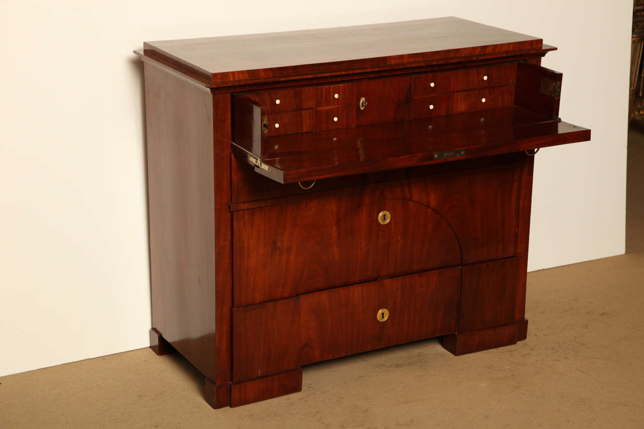 19th Century Biedermeier Chest, Butlers Desk