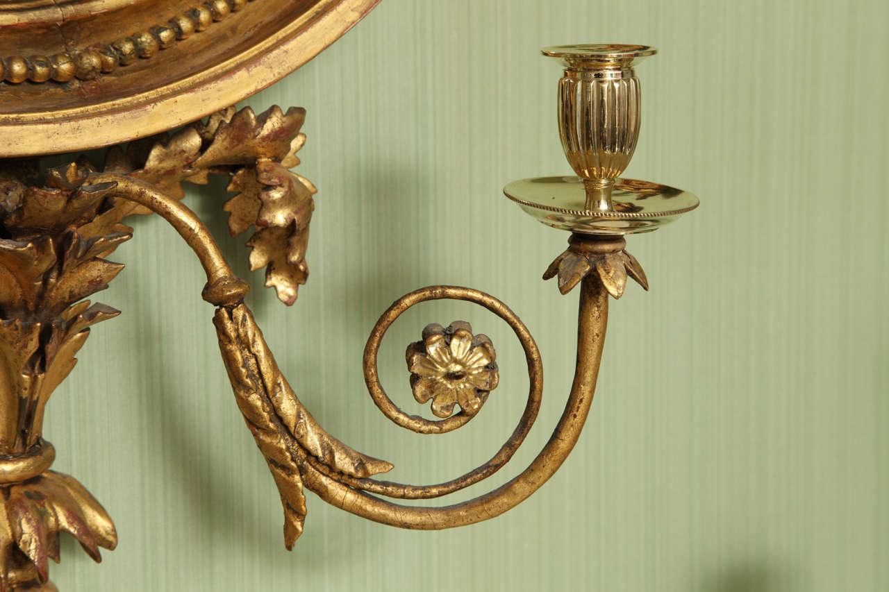 Antique Regency Giltwood Convex Mirror, English c.1810 3