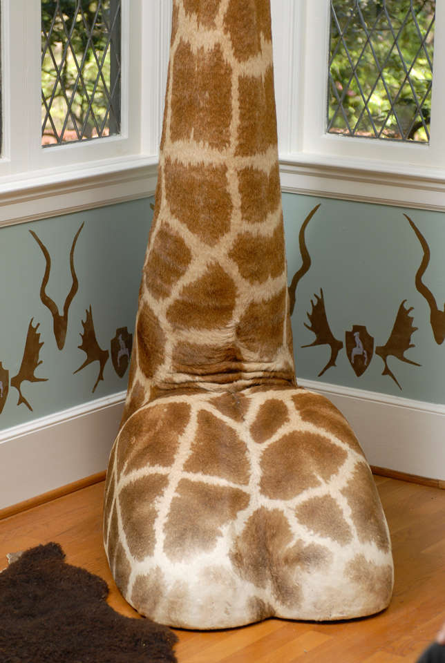 Giraffe Pedestal Mount 2
