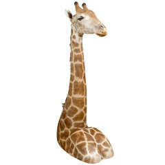 Giraffe Pedestal Mount