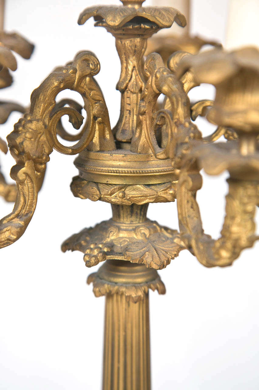 Pair of Dore Bronze Candelabra Lamps 2