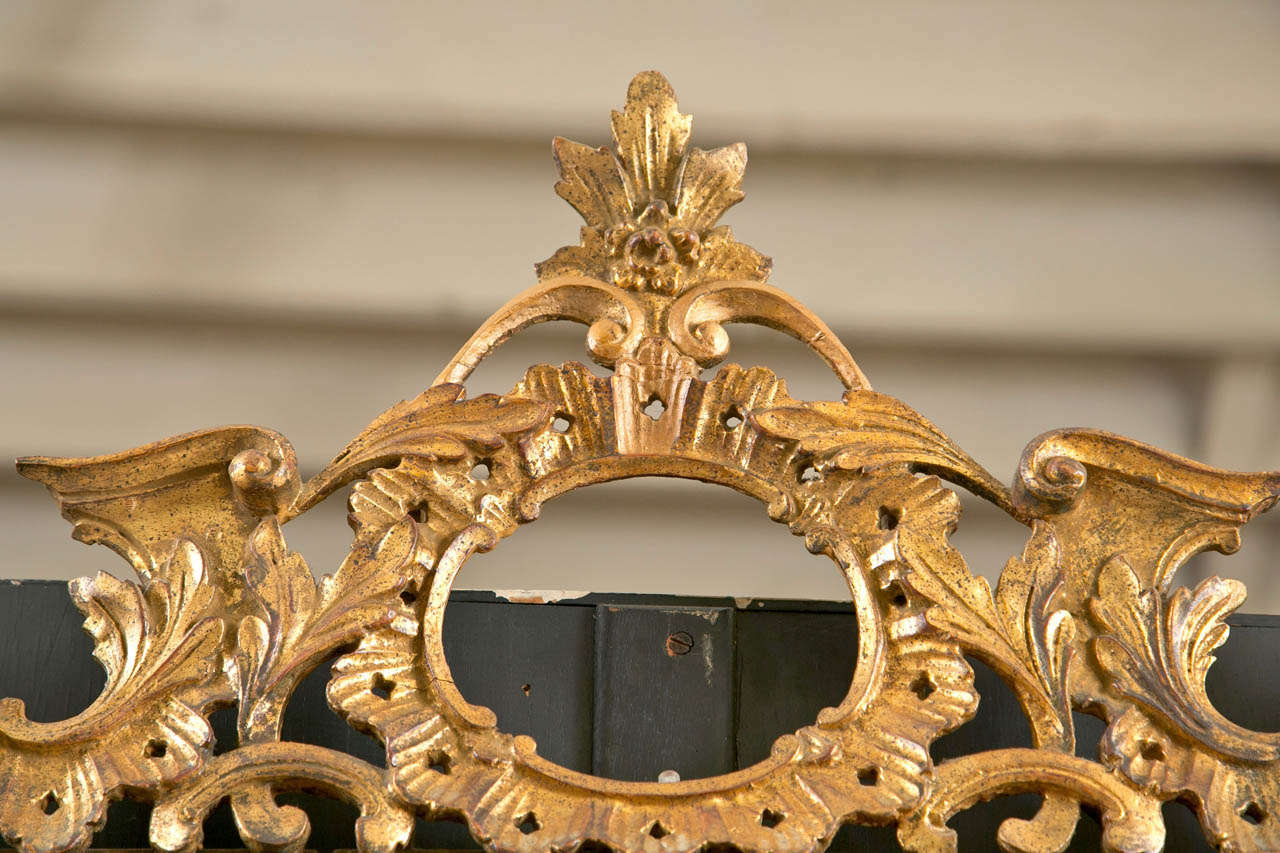 A fine Italian Gilt Carved Wall Mirror. The central panel mirror framed in a gilt gold wooden setting with leafs and flowing vines with rosettes. Finely carved.