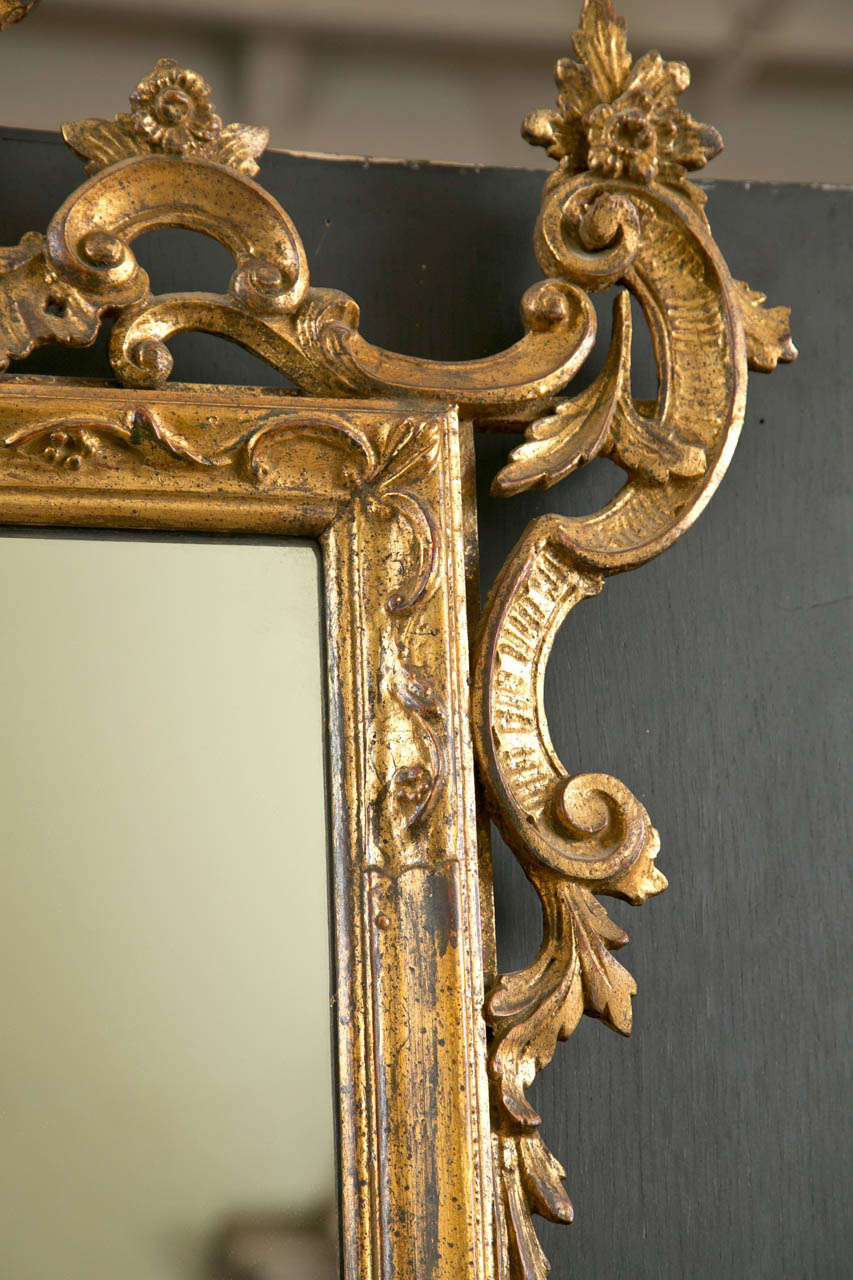 Rococo Italian Gilt Carved Wall Mirror