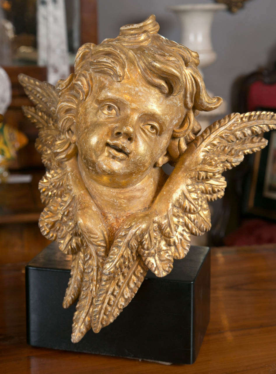Pair of Late 17th Century Italian Cherubs Heads