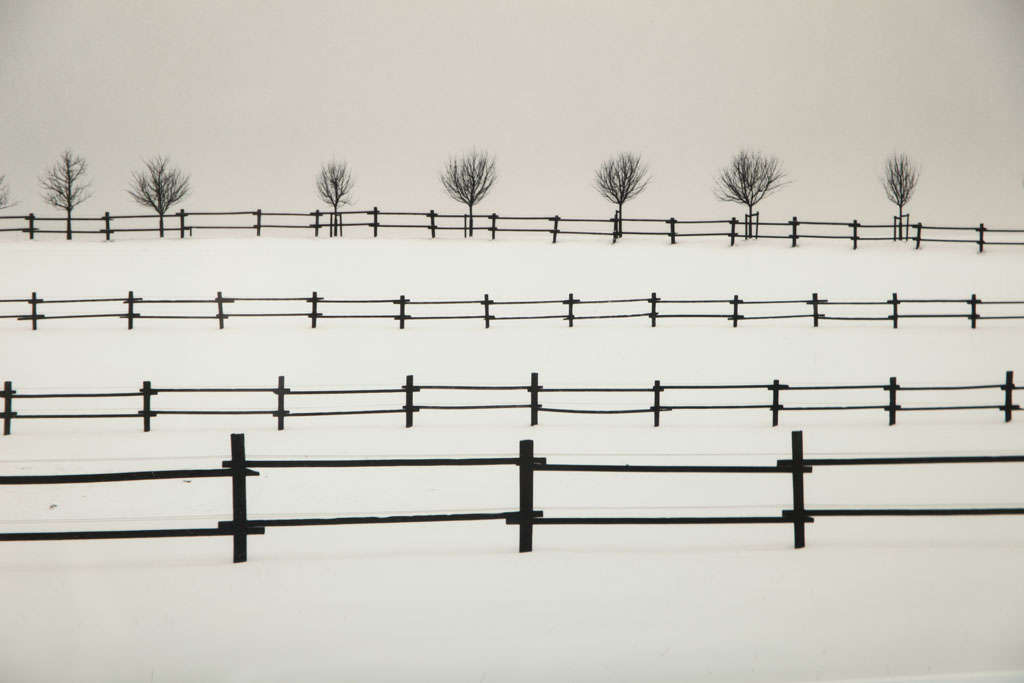 Josef Hoflehner, "Private Property, " Framed Photograph