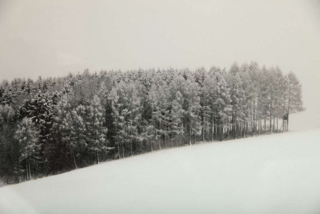 Josef Hoflehner, "November Snow, " Framed Photograph