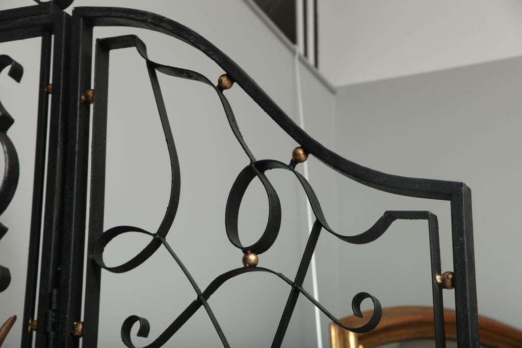 A Pair Of French Iron Gates 5