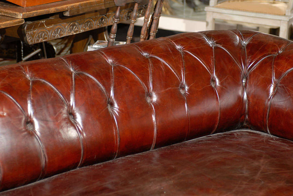 19th Century Chesterfield Sofa 1