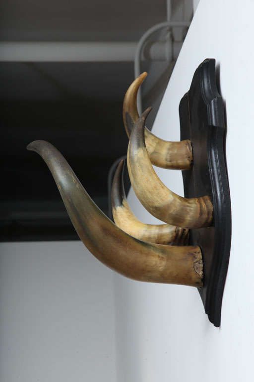 Vintage Horn Trophy Coat Hook In Excellent Condition In New York, NY