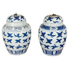 Pair of Chinese Export Ginger Jars