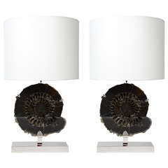 Unusual Pair of Black Ammonites Table Lamps