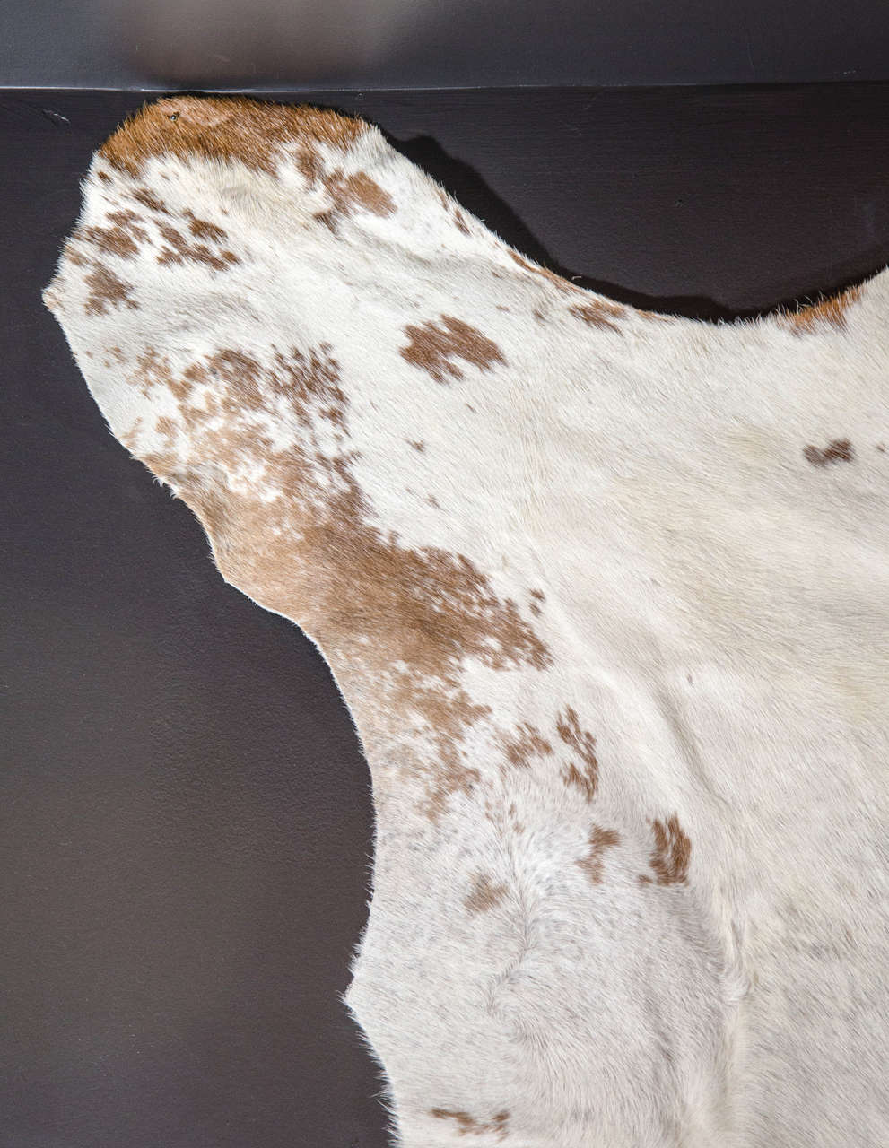 Vintage Cowhide Rug 1