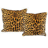 Pair Of Cushions  Of Clarence House Jaguar Silk Velvet