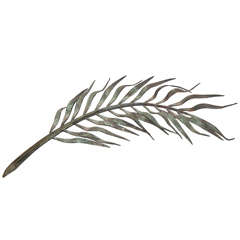 Jean Rabiant Memorial Frond 11