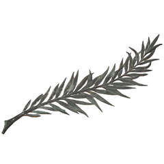 Bronze Patinated Palm Frond 10