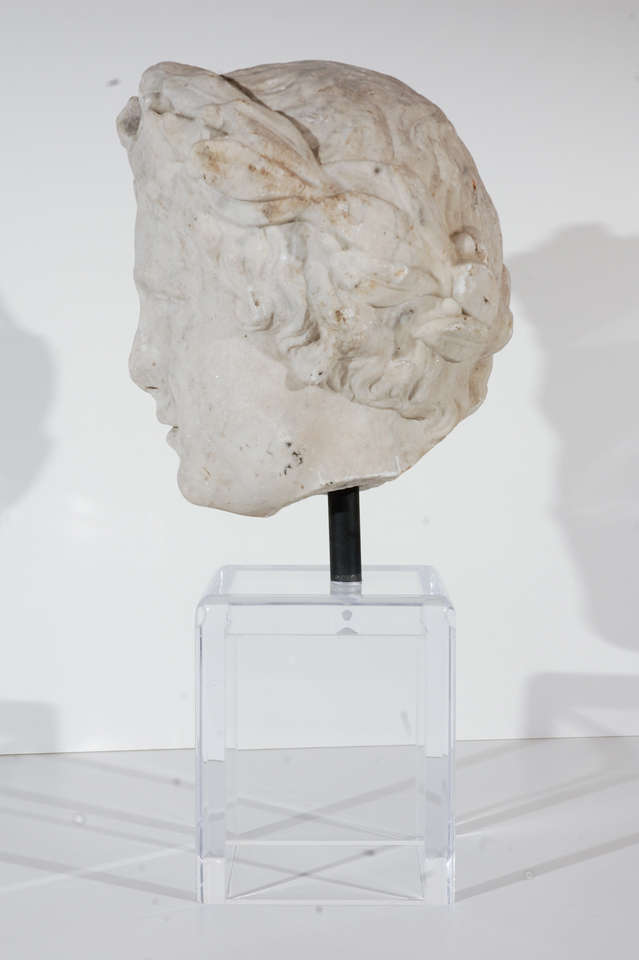 16th C. Bust Of Athena