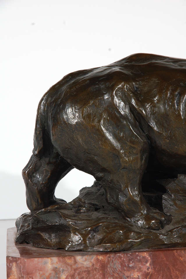 Bronze Rhino Sculpture 1
