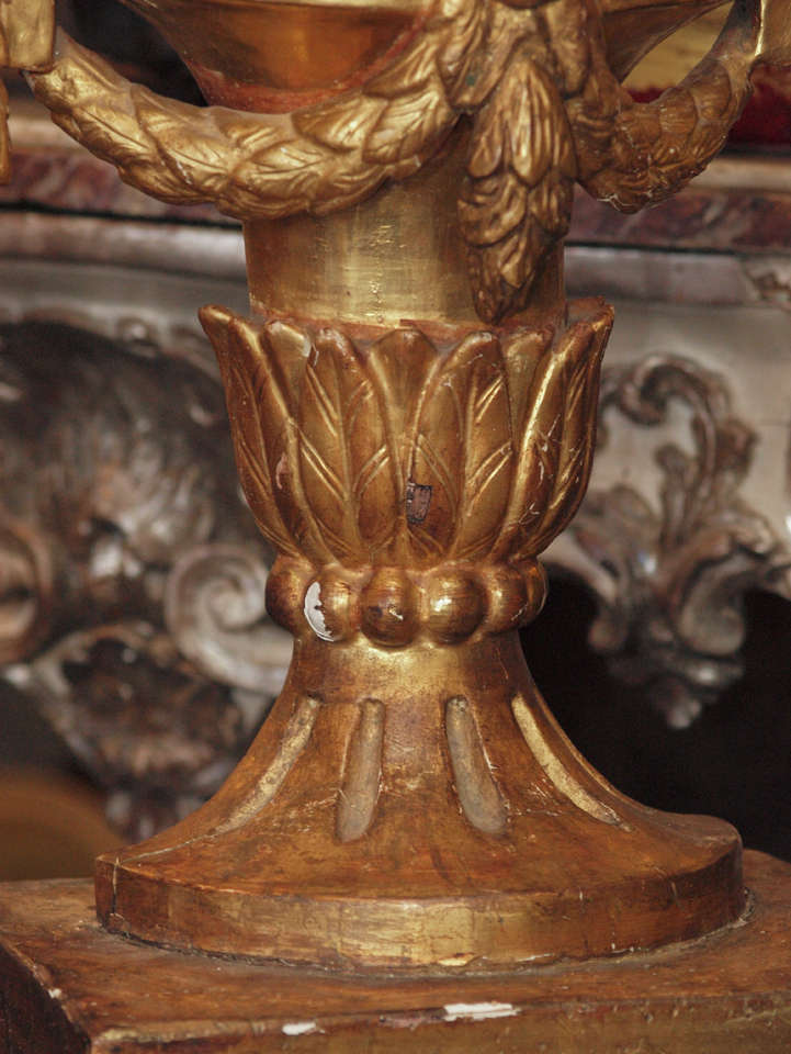 Pair of 18th c. Louis XVI Italian Gilt Wood Urns For Sale 2