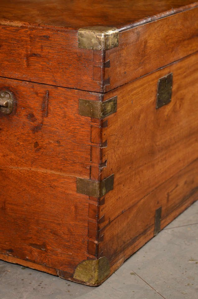 A China Trade Brass-Mounted Camphorwood Trunk In Excellent Condition In Long Island City, NY