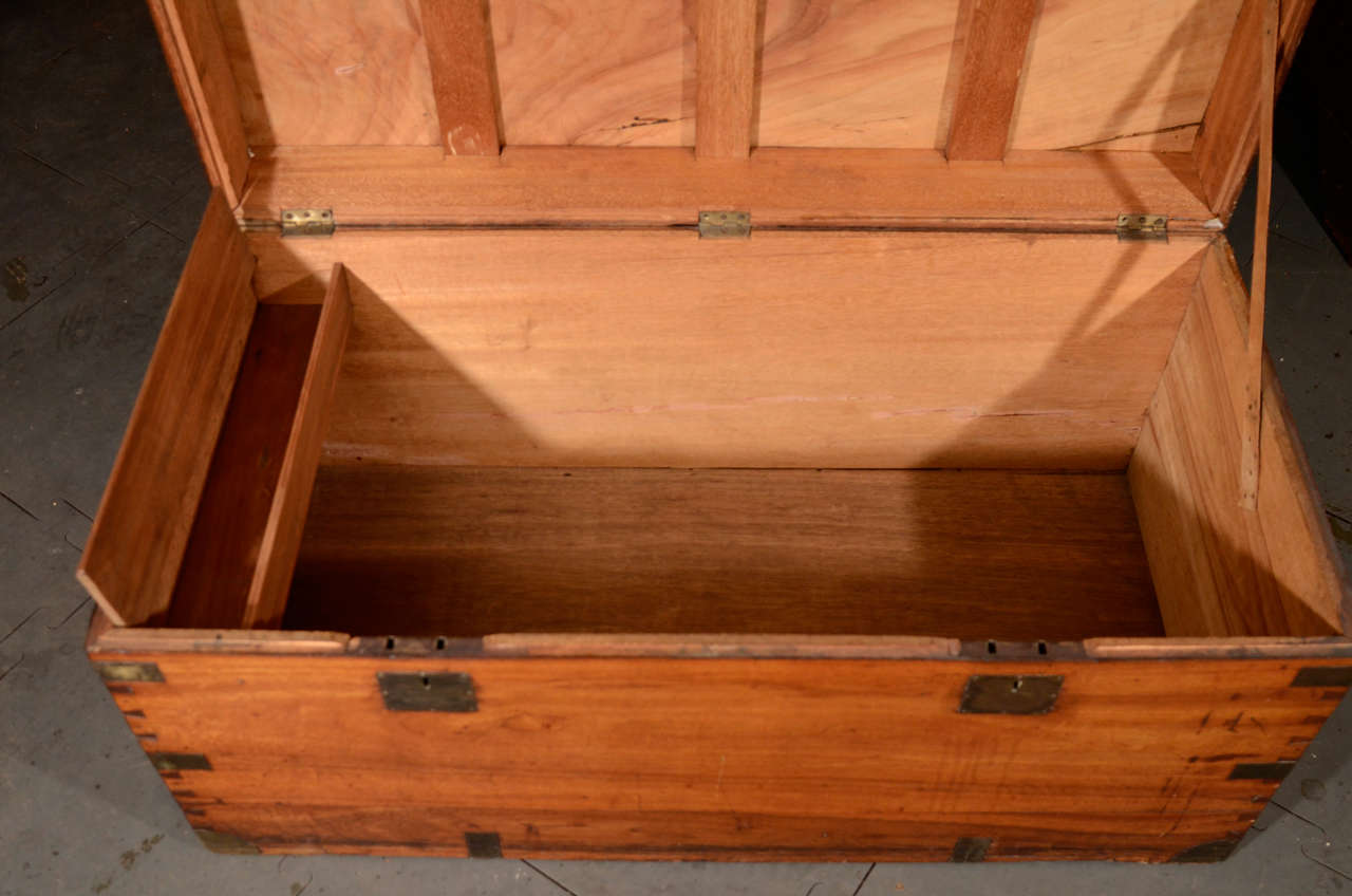 A China Trade Brass-Mounted Camphorwood Trunk 2