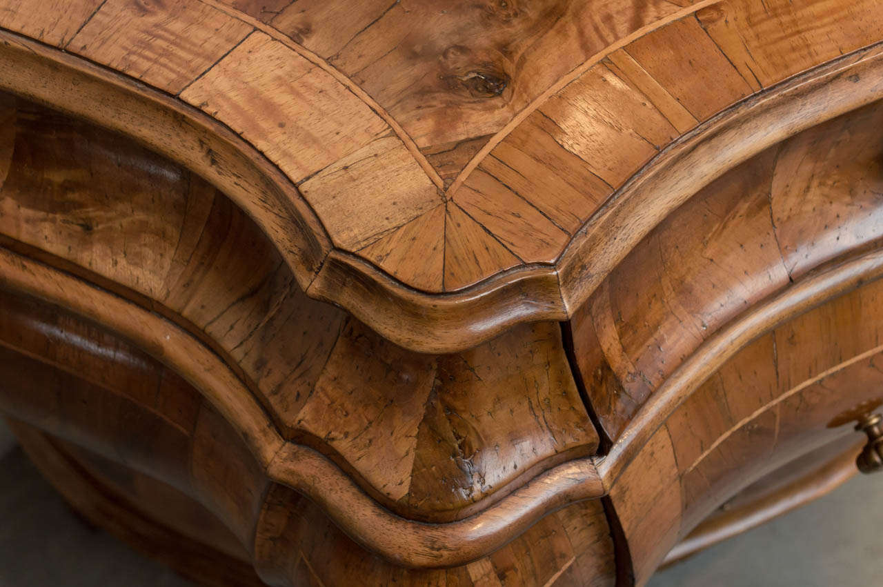 19th Century Italian Yew Wood Commode 5