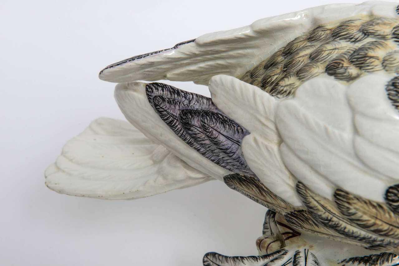 Rare, Early Mottahedeh Porcelain Bird, Early 20th Century For Sale 5
