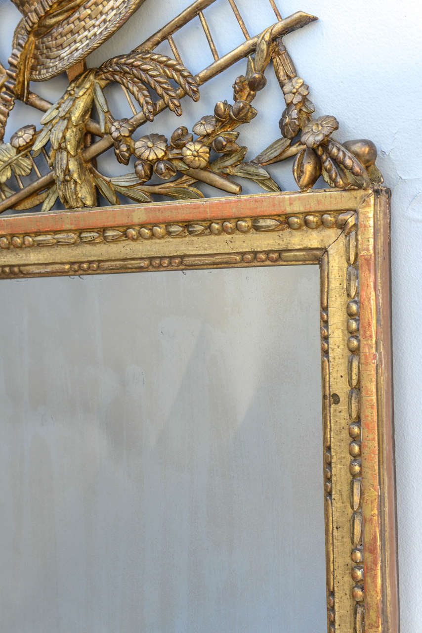 Fantastic 19th Century French Giltwood Mirror with Whimiscal Carved Pediment 3