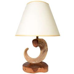 Ram's Horn Lamp with Wood Base