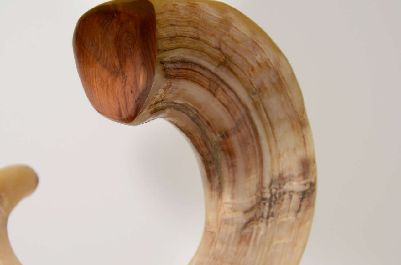 Ram's Horn Lamp with Wood Base 1