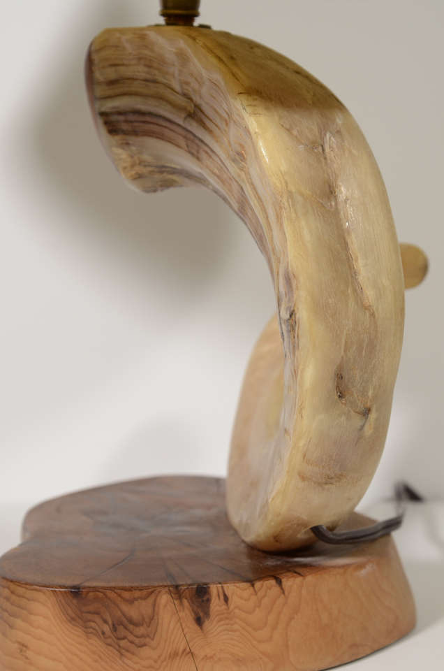 Ram's Horn Lamp with Wood Base 2
