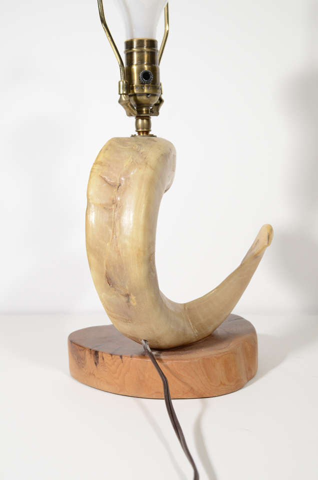 Ram's Horn Lamp with Wood Base 4