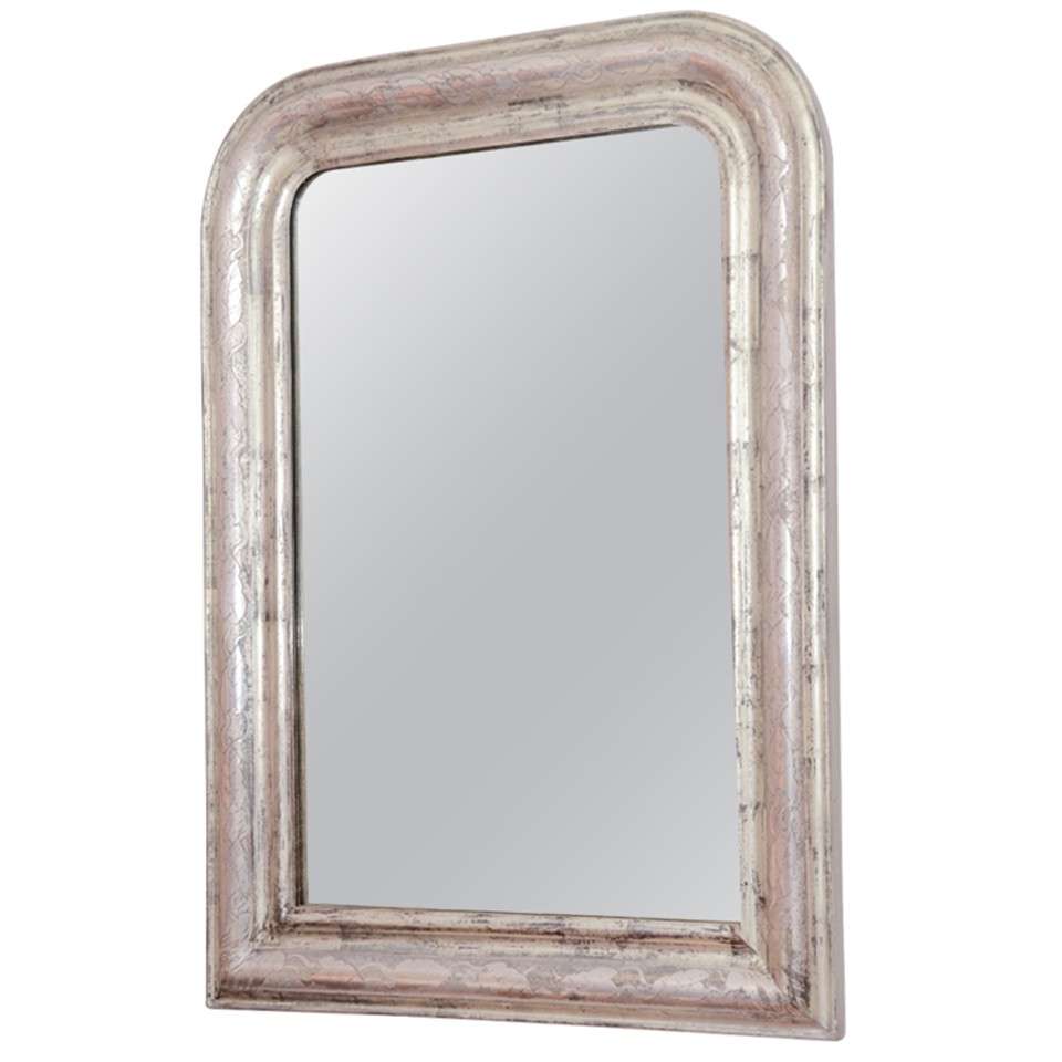 19th Century Silver Giltwood Louis Philippe Mirror