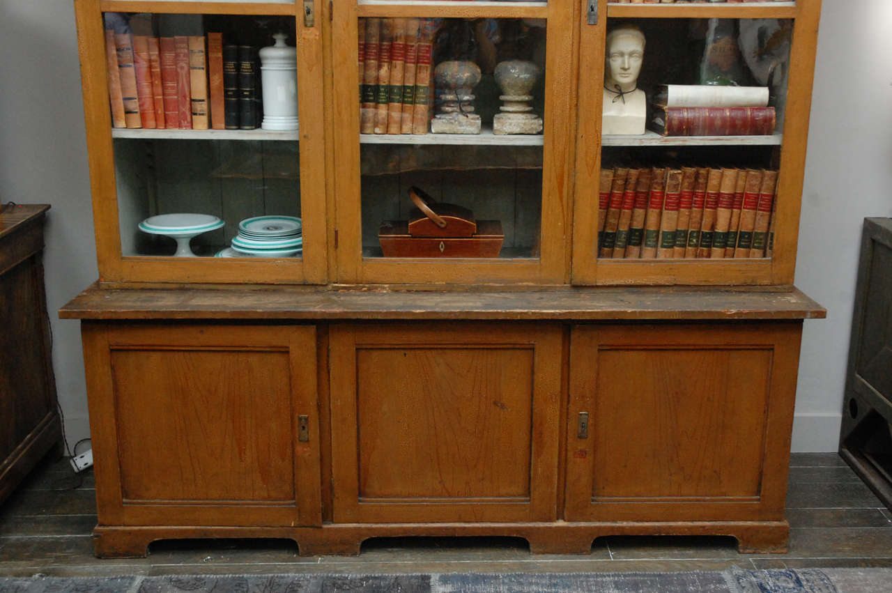19th Century 1880s Dutch Painted Bookcase