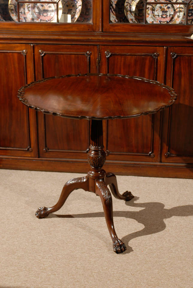 19th Century Pie Crust Mahogany Tilt-Top Table, England
