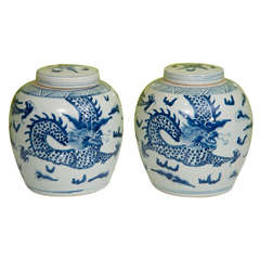 A Pair of Chinese Export Porcelain Ginger Jars