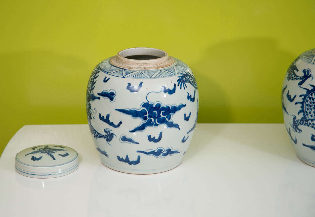 A Pair of Chinese Export Porcelain Ginger Jars 2