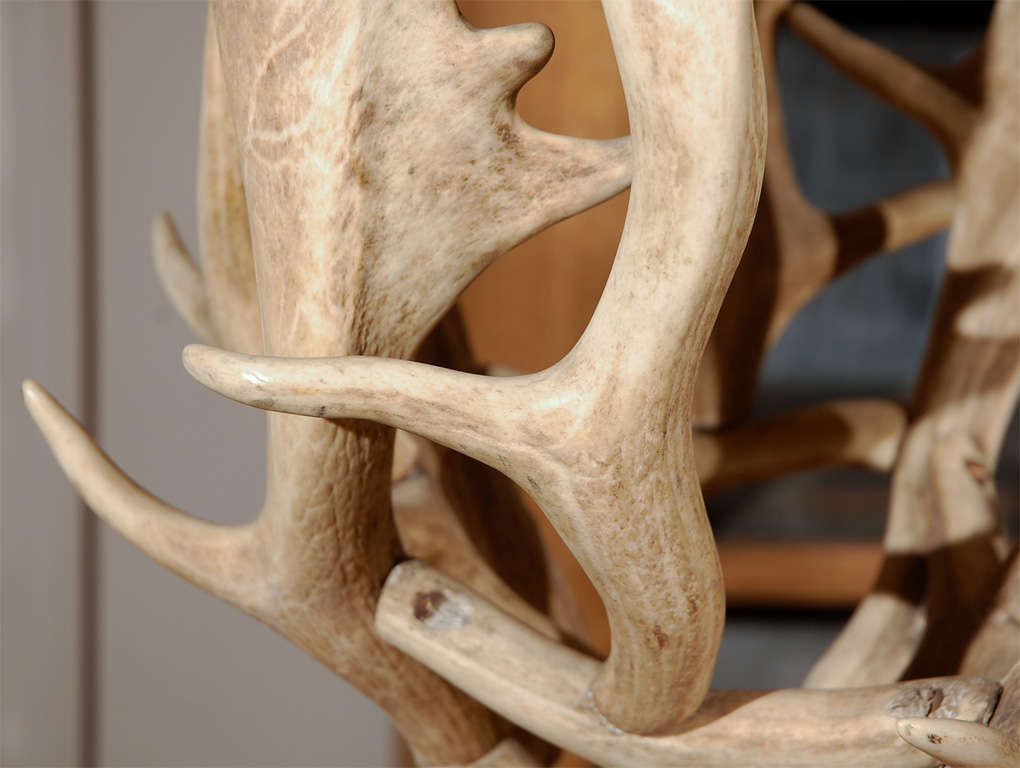 Antler  Jardiniere, Circa 1900 In Good Condition In Los Angeles, CA