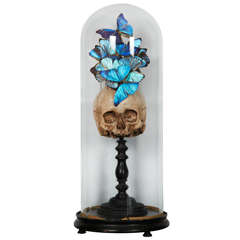 Antique 19th Century Glass Dome with Butterflies & Vanity