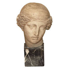 Classical Head on Marble Base