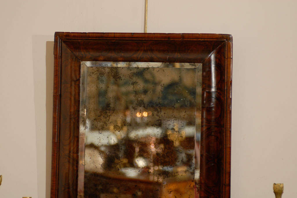 18th Century and Earlier William & Mary English Oyster Veneer Walnut Mirror