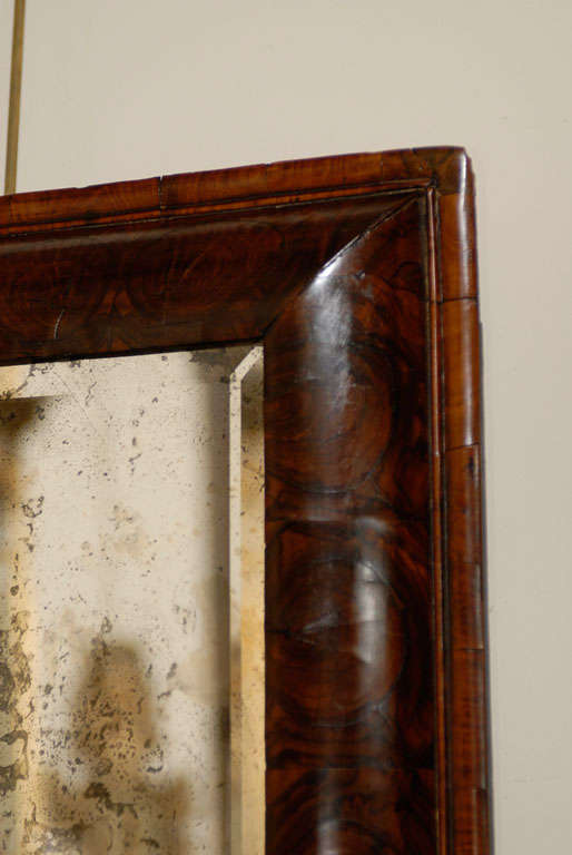 William & Mary English Oyster Veneer Walnut Mirror 2