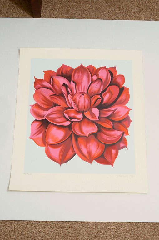 Red Dahlia by Lowell Nesbitt