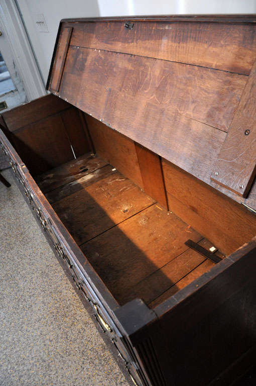 mule chest For Sale at 1stDibs