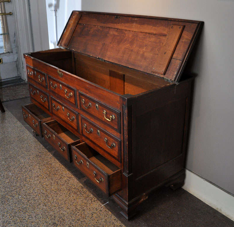 mule chest For Sale at 1stDibs