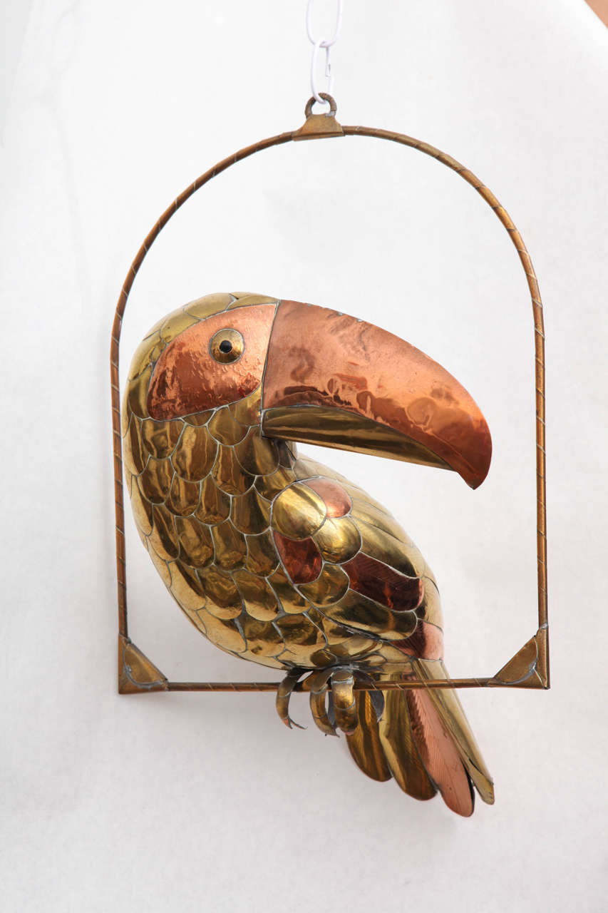 brass toucan