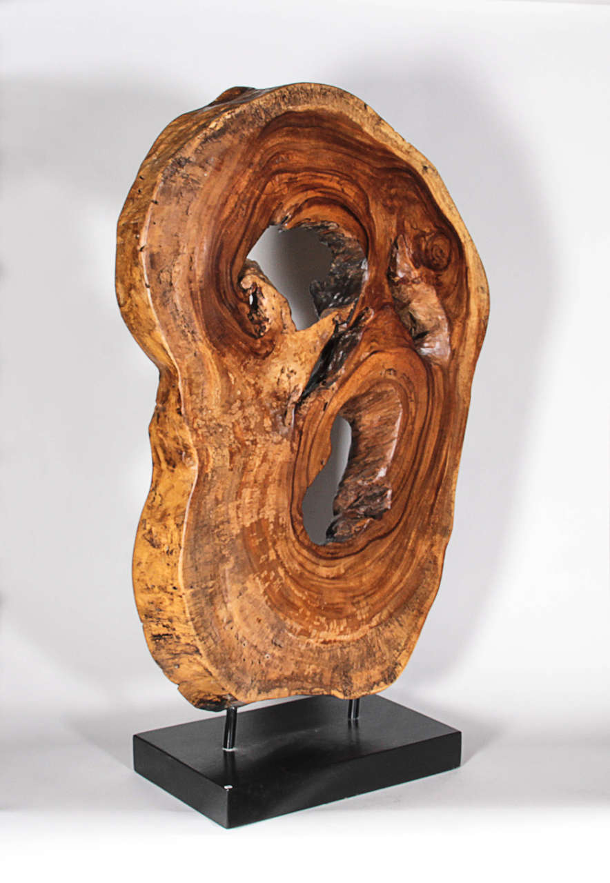 Acacia lacquered sculpture on a wooden base. Wood comes from an Albizia saman tree. Personally selected by Donna Karan for her Urban Zen brand.